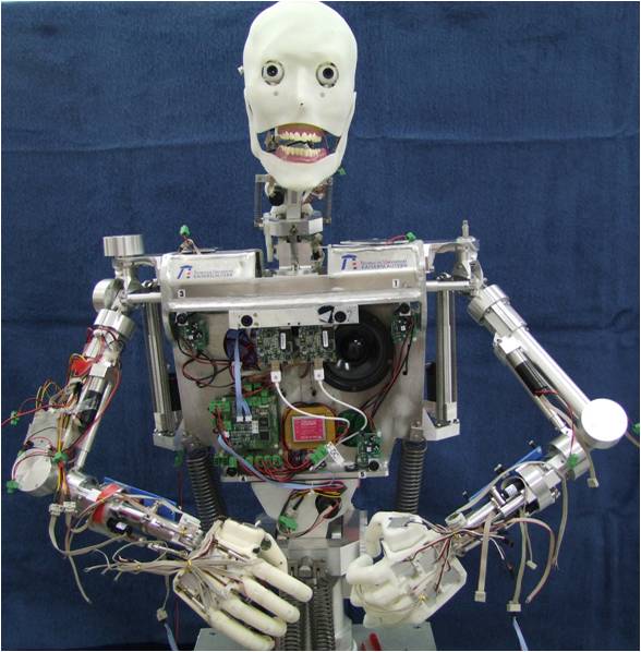 Robot-ROMAN